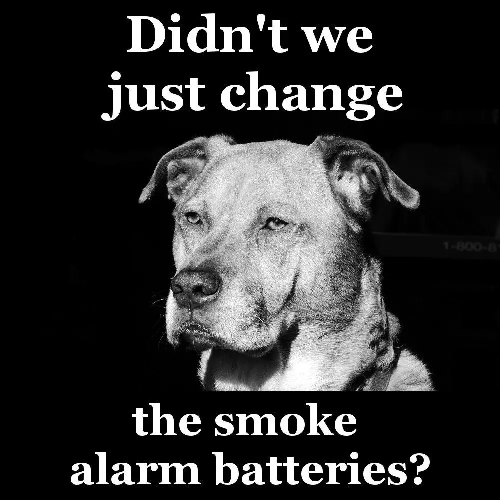 tired dog meme smoke alarm batteries