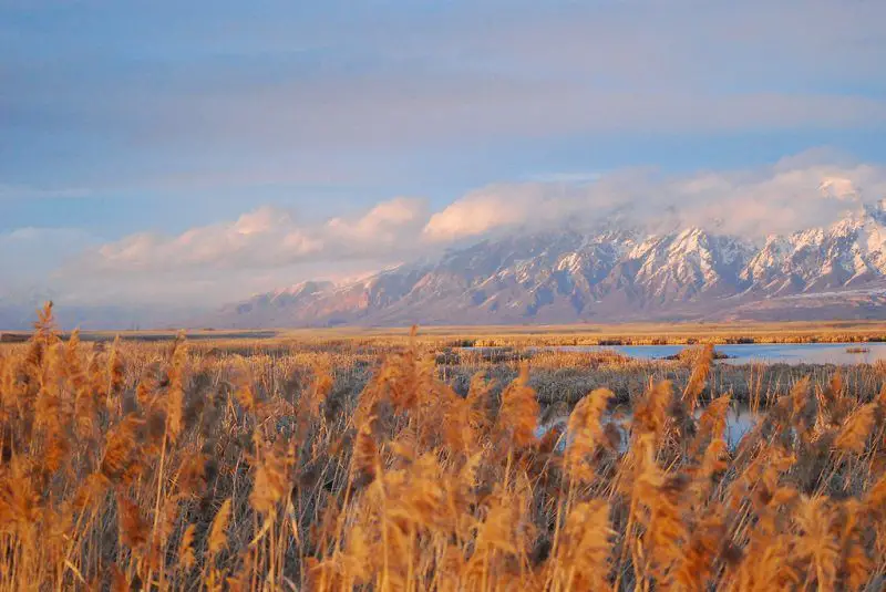 Ogden, UT