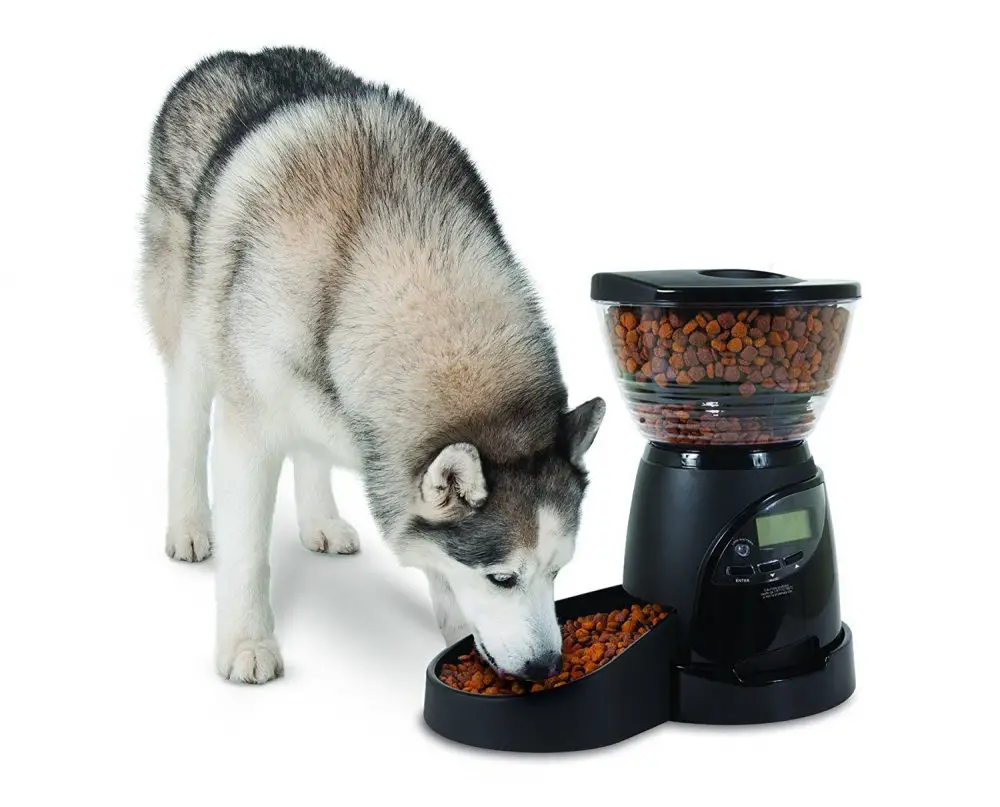 Dog Food Dispenser