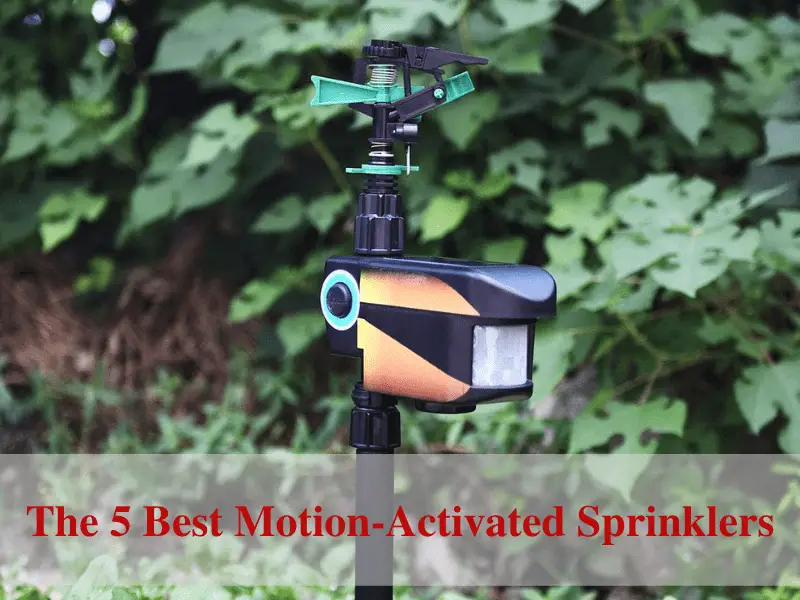 The 5 Best Motion Activated Sprinklers